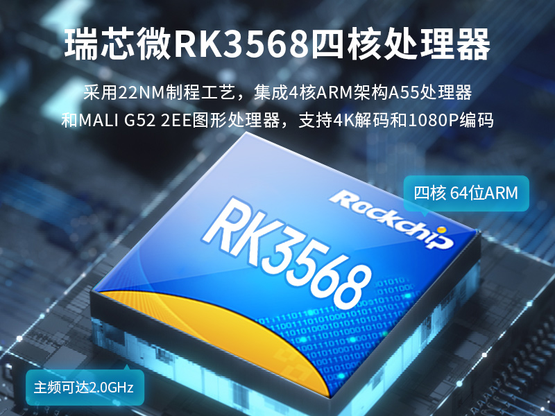 10.1英寸工業平板電腦,10點電容屏,DTP-0819-RK3568