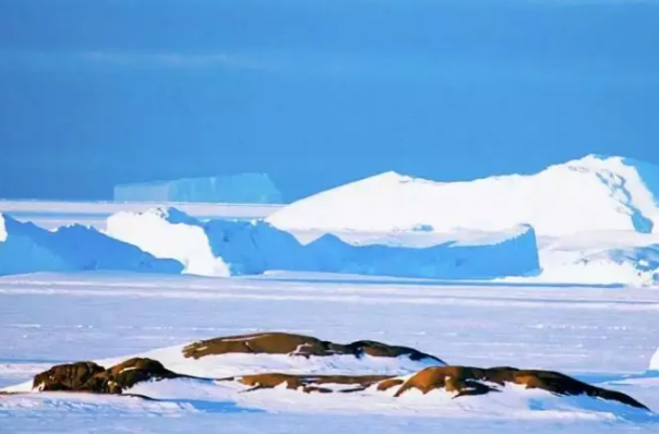 極寒環境.png 極寒環境.png