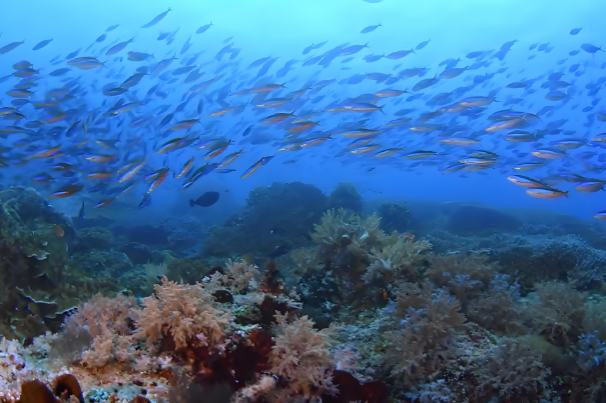 視覺(jué)圖像.png 視覺(jué)圖像.png