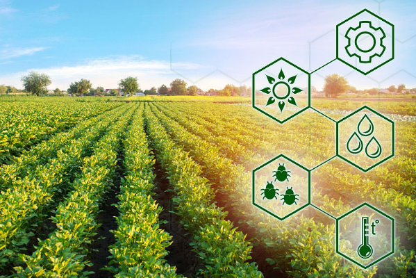 智慧農業.png 智慧農業.png